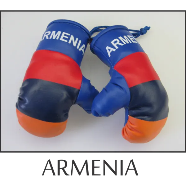 Armenia Mini Boxing Glove