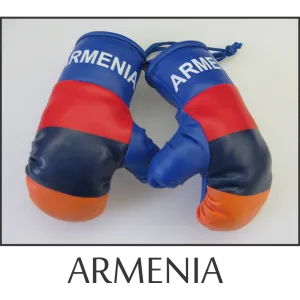 Armenia Mini Boxing Glove