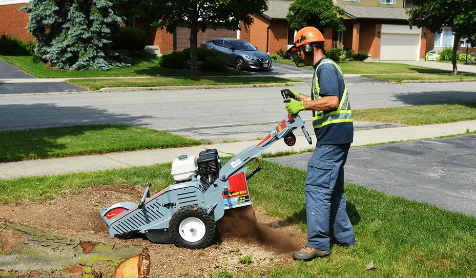 Baumalight Walk Behind Stump Grinder | Model WB44 | 13HP