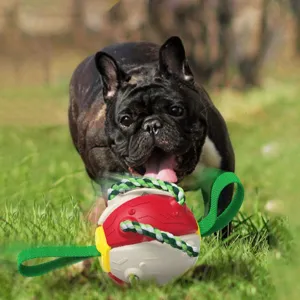 Interactive Frenchie Soccer Ball With Tabs Inflated Training Toy