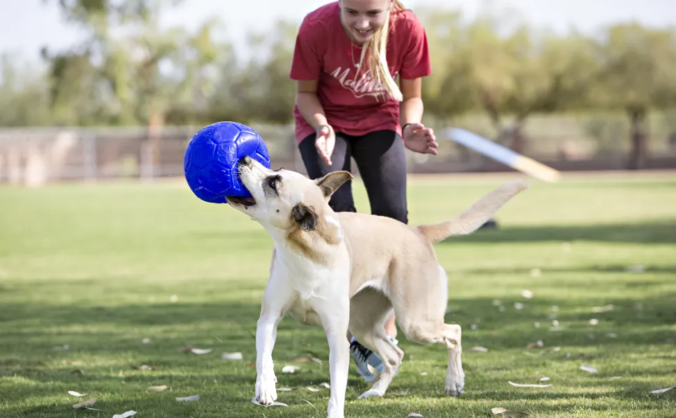 Jolly Pets Soccer Ball