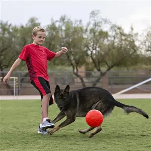 Jolly Soccer Ball - 6"