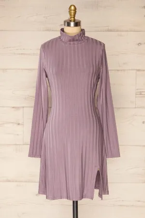 Kalani Mauve | Short Fitted Dress w/ Mock Neck