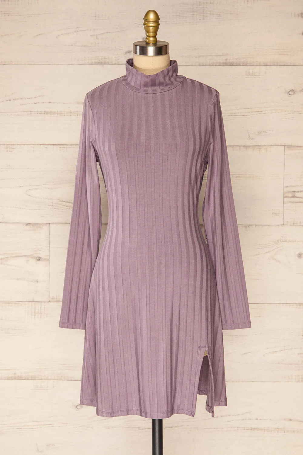 Kalani Mauve | Short Fitted Dress w/ Mock Neck