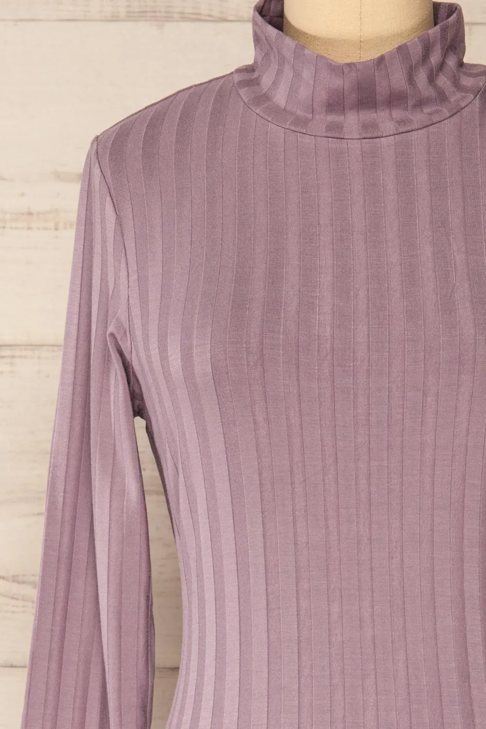 Kalani Mauve | Short Fitted Dress w/ Mock Neck