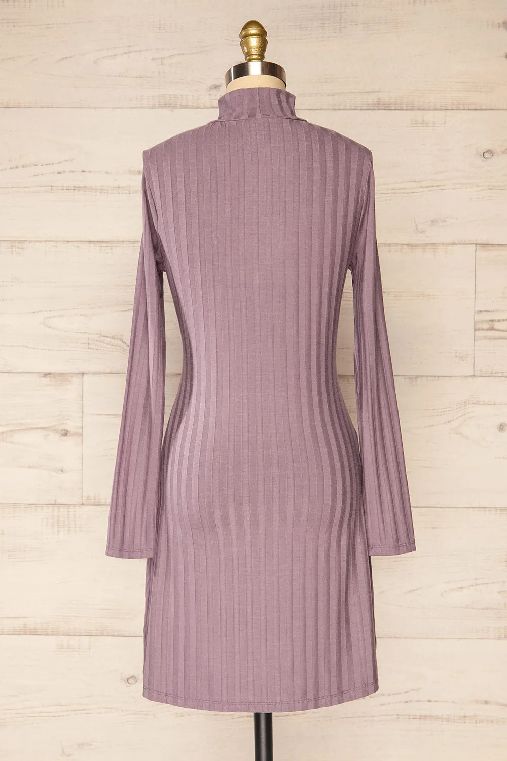 Kalani Mauve | Short Fitted Dress w/ Mock Neck