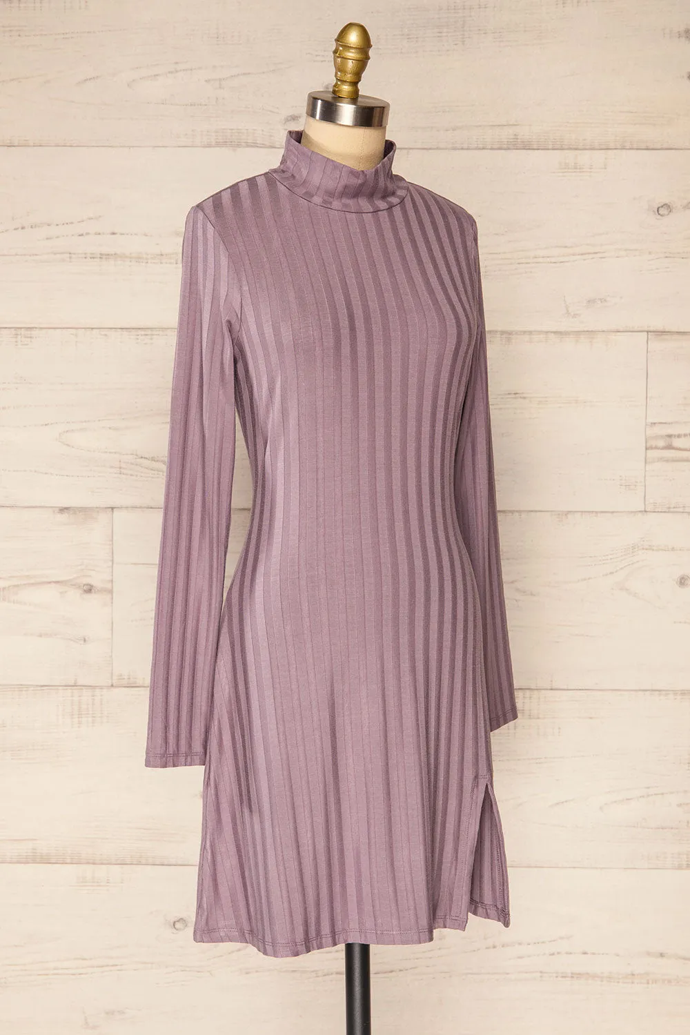 Kalani Mauve | Short Fitted Dress w/ Mock Neck