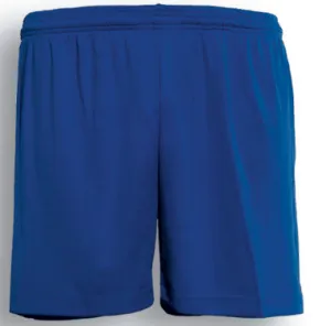 Kids Plain Soccer Shorts - Royal