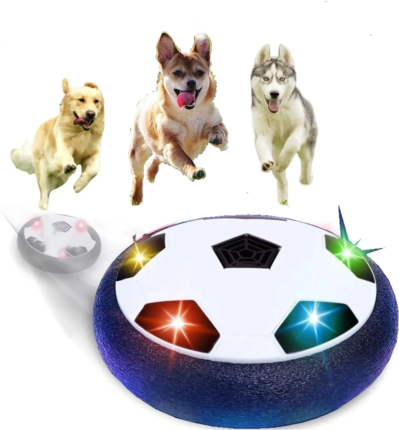 Pet's Gliding Disk Cool Lighting